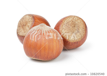 three whole hazelnuts 10820540