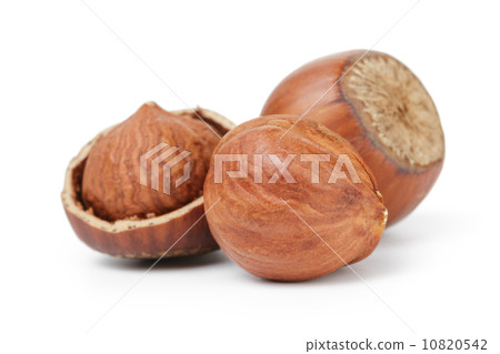 organic hazelknuts with kernel organic hazelknuts with kernel 10820542