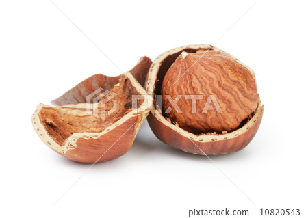organic hazelknuts with kernel organic hazelknuts with kernel 10820543