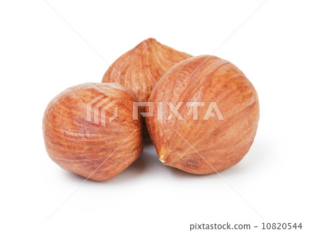 three hazelnut kernels three hazelnut kernels 10820544