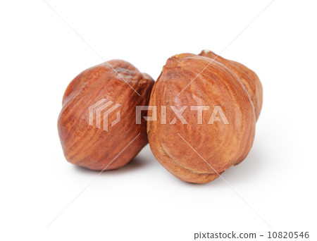 three hazelnut kernels three hazelnut kernels 10820546