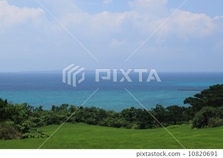 Natural landscape Pastures following the ocean. This scenery is seen in Ishigakijima ③ 10820691