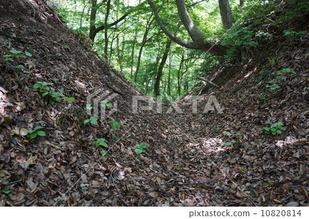 First row Taniyama Castle 10820814