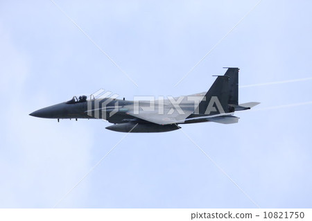 F 15 fighter plane F 15 fighter plane 10821750
