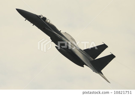F 15 fighter plane 10821751