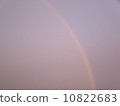 Rainbow  10822683
