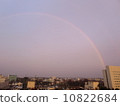 Rainbow  10822684