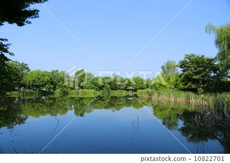 Quiet lakeside 10822701