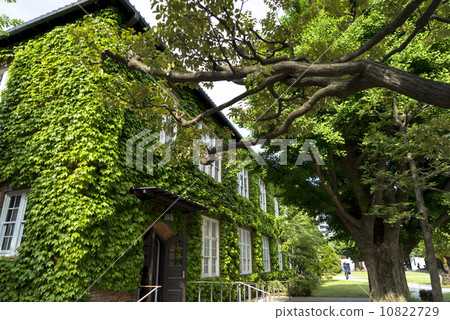 Campus Campus 10822729