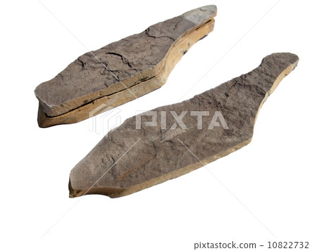 Cracked shale 10822732