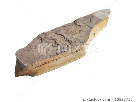 Cracked shale 10822733