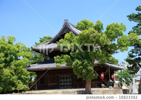 善通寺市 善通寺市 10823382