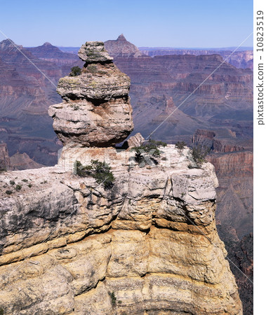 鴨子在岩石上 鴨子在岩石上 10823519
