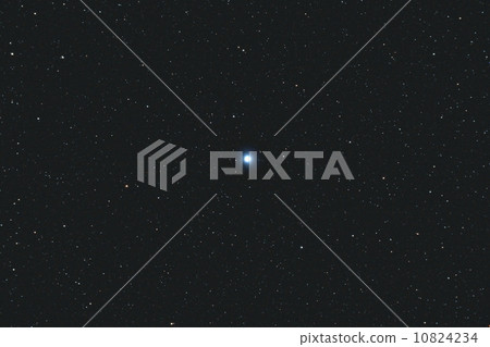 Vega Vega 10824234