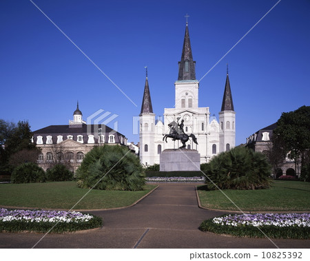 聖路易斯大教堂和Cabildo 10825392