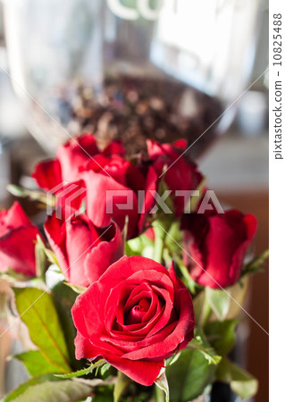 Beautiful fresh red roses 10825488
