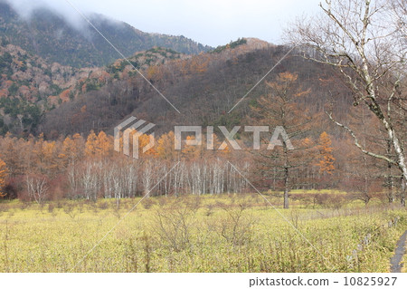 Odashiro is Hara Odashiro is Hara 10825927