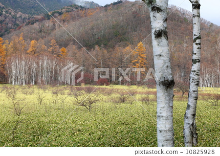 Odashiro is Hara Odashiro is Hara 10825928