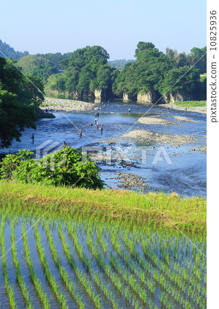 Ayu no River 10825936