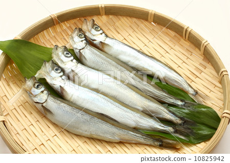 Sushi raw ingredients Dried Japanese food White background 10825942