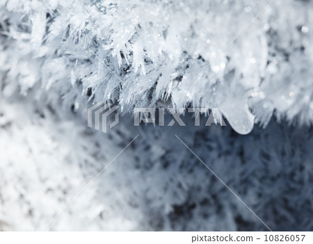 Abstract nature winter decoration Abstract nature winter decoration 10826057