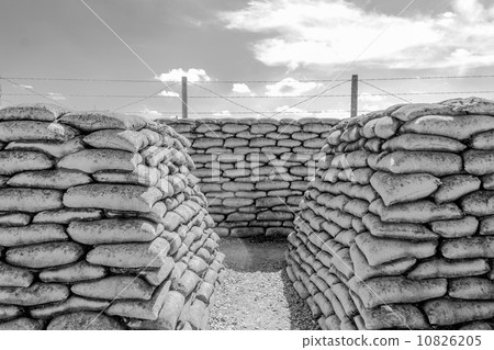 Trench of death world war 1 belgium flanders fields 10826205