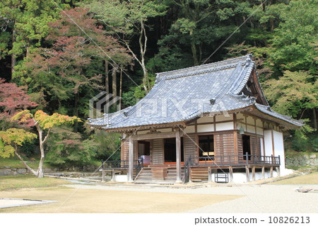Maple leaves beginning to change color and the main hall of Shōryaku-ji Temple 10826213