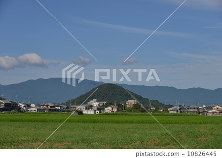 Mt. Mountain 10826445