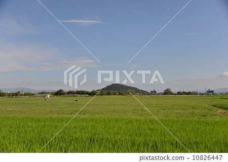 Etsenzayama山 10826447