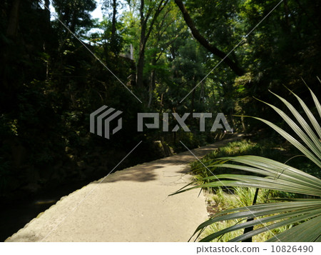 Todoroki Valley Todoroki Valley 10826490