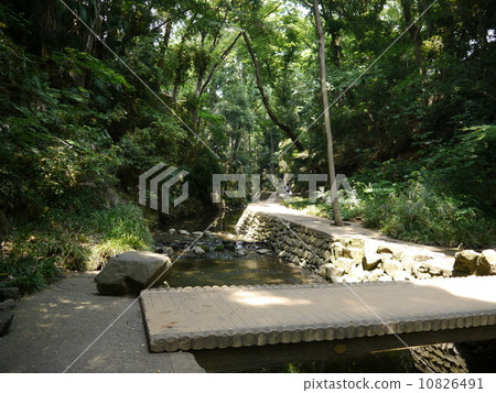 Todoroki Valley Todoroki Valley 10826491