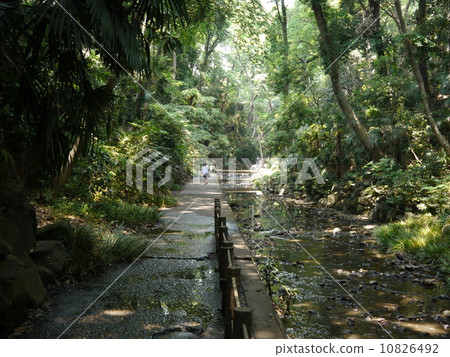  Todoroki Valley 10826492