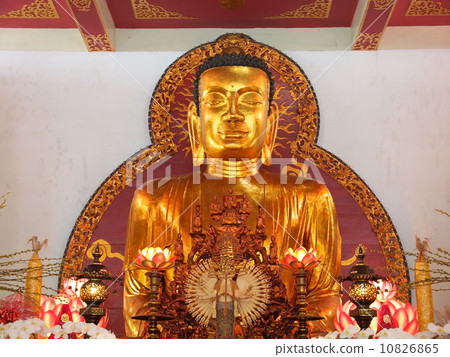 越南胡志明市Vingiem寺金佛 越南胡志明市Vingiem寺金佛 10826865