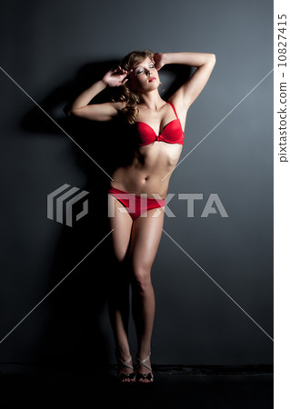 Dreamy slender girl posing in erotic lingerie 10827415