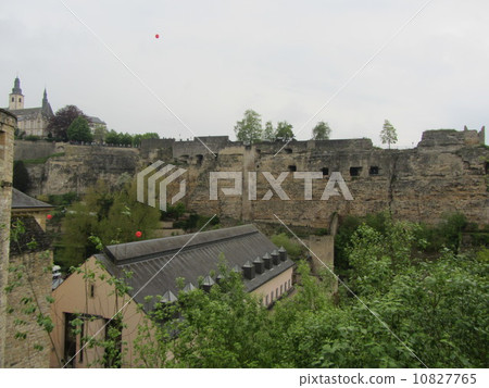 Booch's battery 10827765