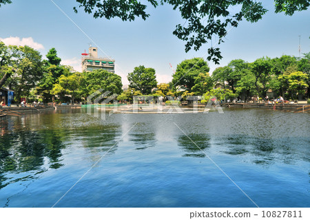 Shimizuike Park 10827811