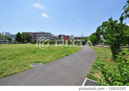 Higashiyama Park 10828291