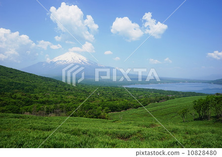 May Landscape · Mt. Fuji 519 Fresh green Yamanakako village Hirano 10828480