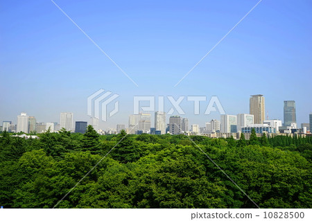 可能城市景觀/城市景觀474舊國家體育場展望 可能城市景觀/城市景觀474舊國家體育場展望 10828500