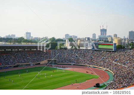 梅體育場13老國家體育場和觀眾 10828501