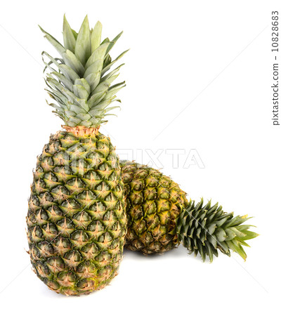 pineapple pineapple 10828683
