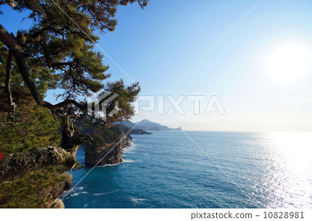 Nishiizu-dondagahima的風景 10828981