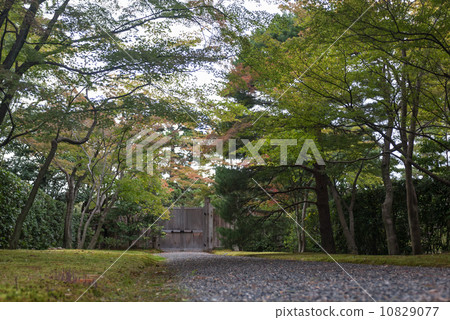 Katsura Rikyu Front 10829077
