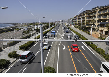 從人行橋到湘南路 10829738