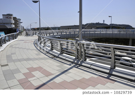 在海灘的步行橋 10829739