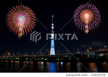 Fireworks and Sky Tree 10829750