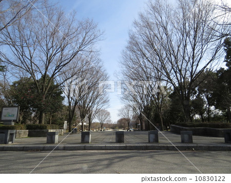 Saitama City Minami Nature Park Saitama City Minami Nature Park 10830122