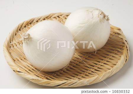 白洋蔥 白洋蔥 10830332