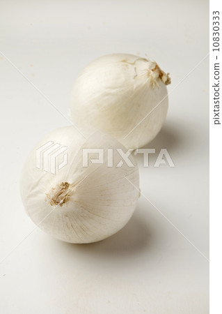白洋蔥 白洋蔥 10830333