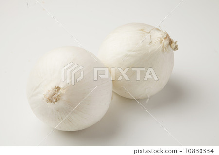 白洋蔥 白洋蔥 10830334